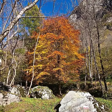 度假居 Casa Adamossi Lombardini *